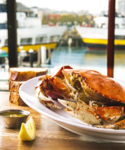 Dungeness crab on table with harbor behind