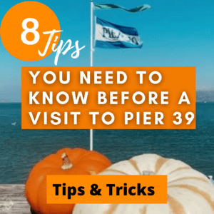 pier 39 tips and tricks