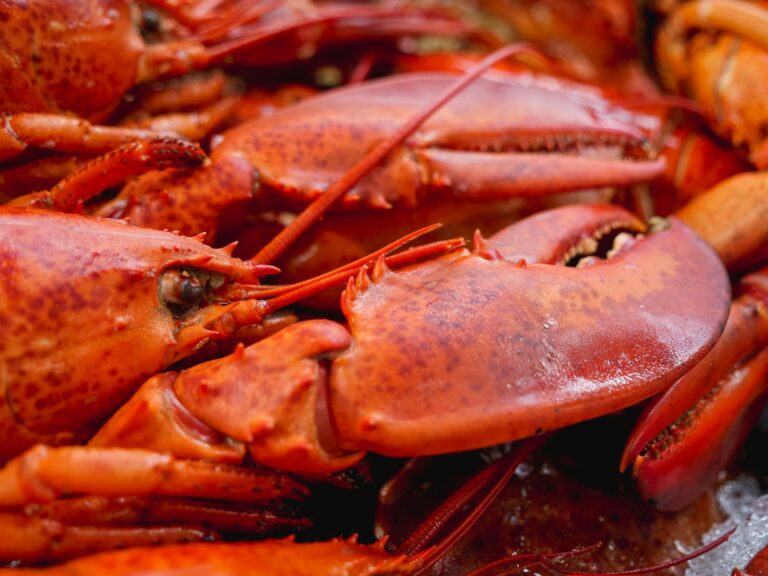 Lobster cooked and ready to serve at San Francisco's Pier Market