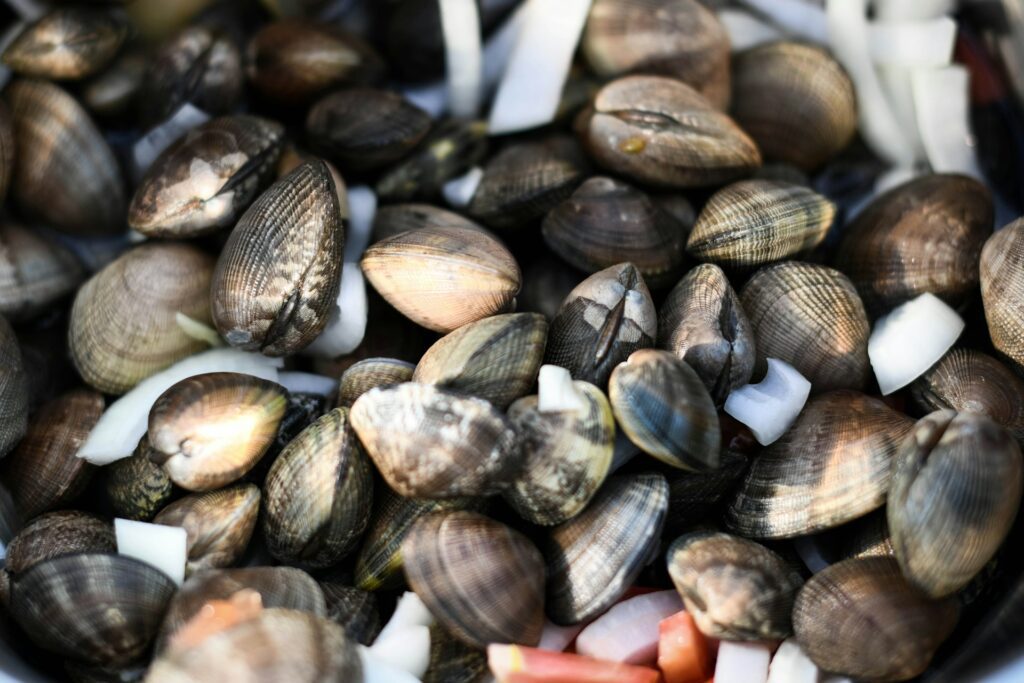 Fresh clams are part of the seafood cuisine we want